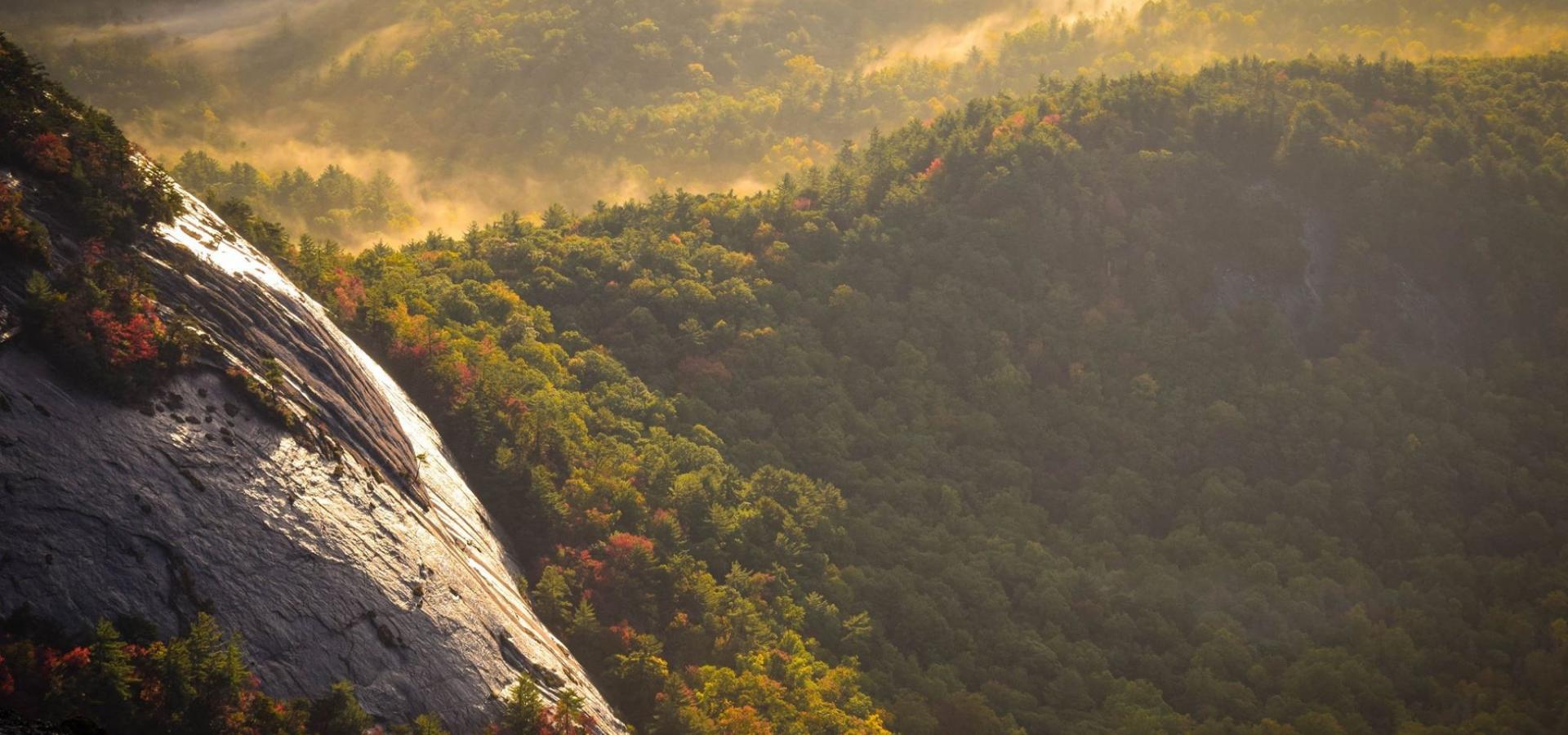 Reserva de la biosfera transfronteriza