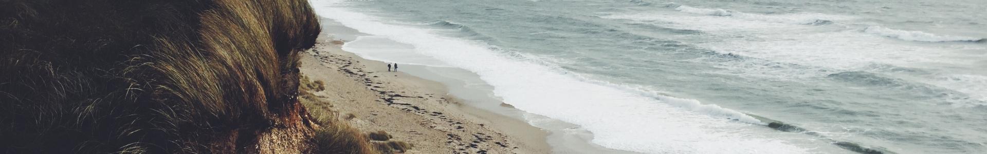 Cabecera Presentación del proyecto