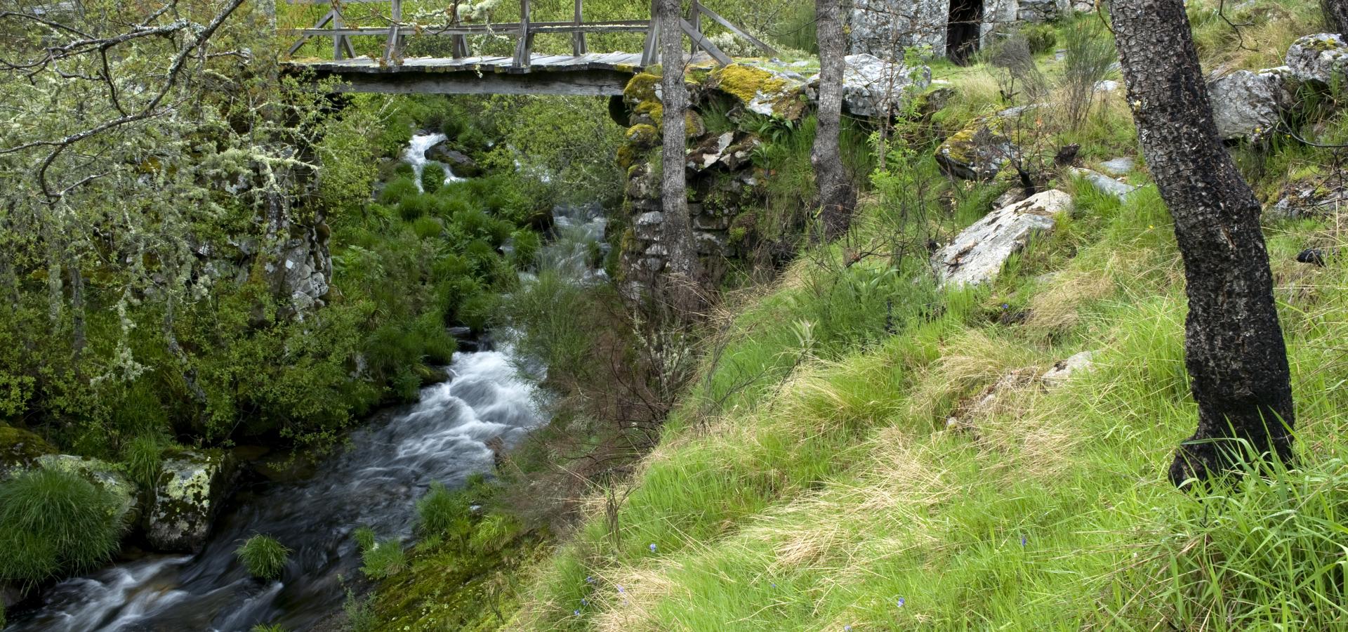 Reserva de la biosfera transfronteriza