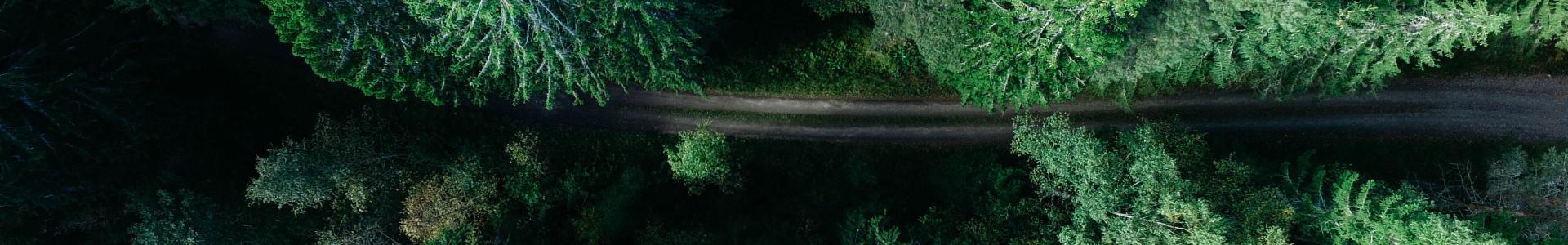 Cabecera Enlaces de interés