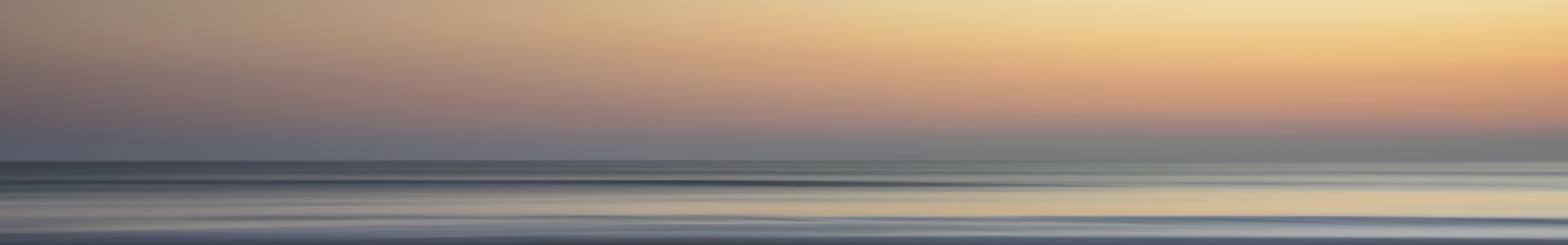 Cabecera Socios del proyecto